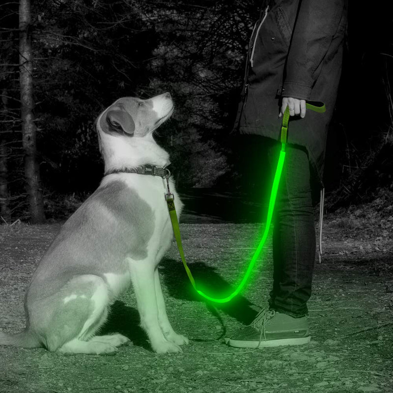 [Australia] - VIZPET LED Dog Leash - USB Light UP Rechargeable Nylon Dog Leash - 47.2 Inch with 3 Flash Modes and Metal Buckle - Keeps Your Dog Safe All The Time Neon Green 