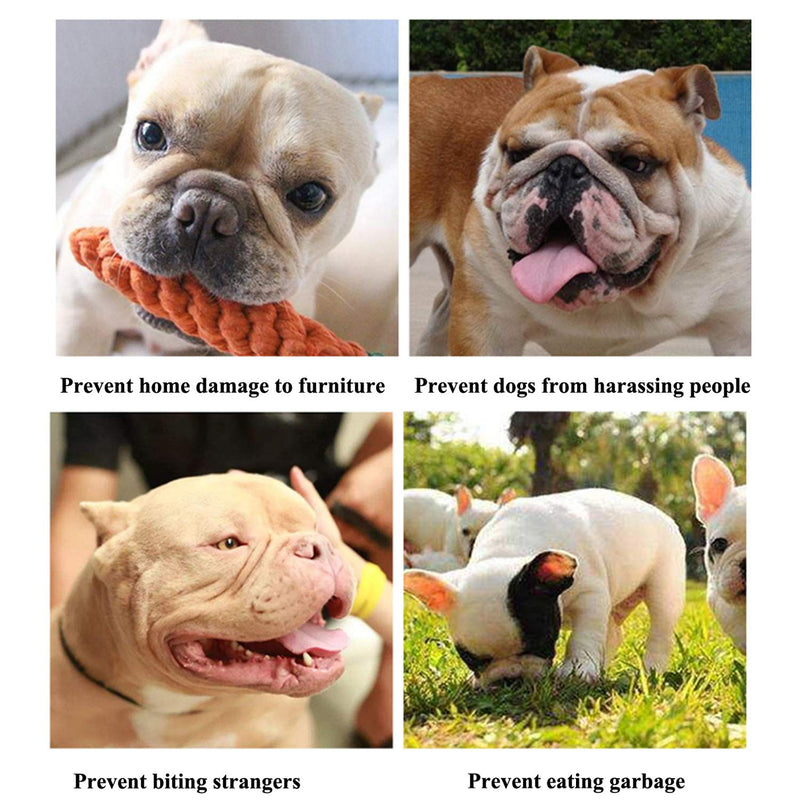 ILEPARK Dog Muzzle for Short Snout Dogs, Bulldog Muzzle Anti-Biting, Chewing, Barking, Dog Mask (M,Blue) M Blue - PawsPlanet Australia