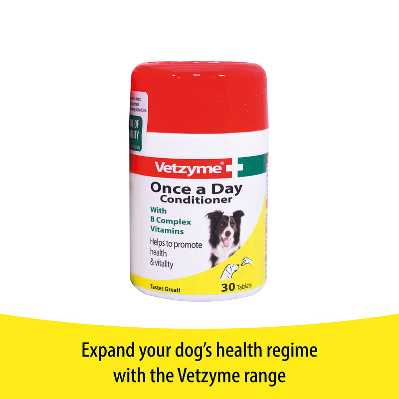 Vetzyme | Garlic Tablets for Dogs, Helps Maintain a Healthy Heart | Savoury Treat with B Complex Vitamins (240 Tablets) - PawsPlanet Australia