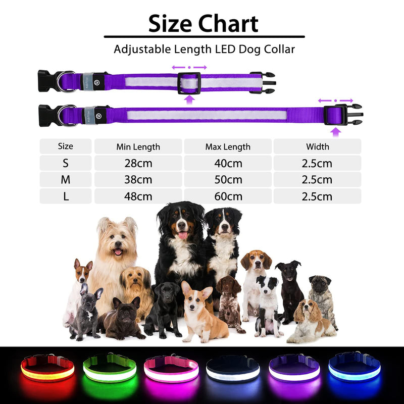 Light Up Dog Collar, LED Dog Collar Light USB Rechargeable and 100% Waterproof, 7 Colors Change Glowing Dogs Collar Super Bright Dog Light Up Collar for the Dark for Small Medium Large Dogs, Purple S S (Pack of 1) - PawsPlanet Australia