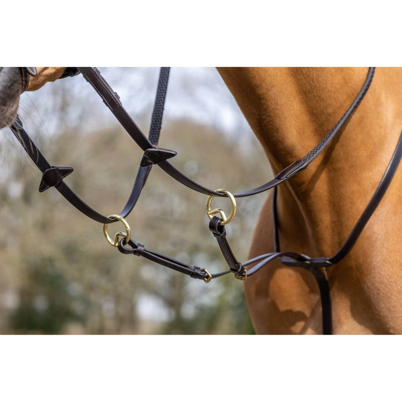 LeMieux Running Martingale - Havana Full - PawsPlanet Australia