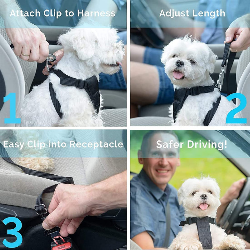 Pack of 2 dog harnesses, car seat belt for dogs, tear-resistant, adjustable, dog seat belt, adjustable dog seat belt, safety harness for all dog breeds, cats and car types, black/yellow - PawsPlanet Australia