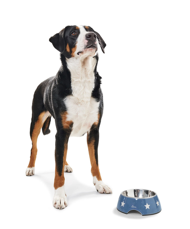 HUNTER Aarhus Melamine Bowl, 700 ml, Blue/White - PawsPlanet Australia