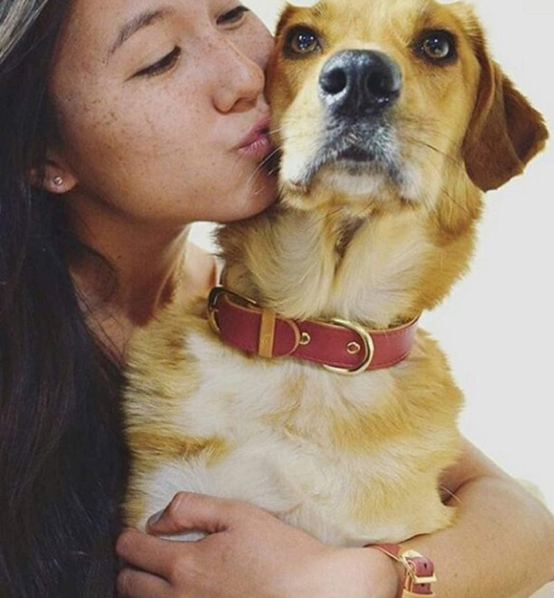 FriendshipCollar Dog Collar and Friendship Bracelet - Bordeaux - Medium - PawsPlanet Australia