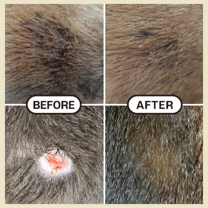 JAYU PET Shikonidin - Cat Dog Itch Relief | Dog Allergy Relief | Dog Cat Paw Lotion | Dog Hotspot and Skin Irritation Treatment | Dog Skin Soother | Dog Cat Wound Care | Dog Paw Cream | Dog Paw Balm - PawsPlanet Australia