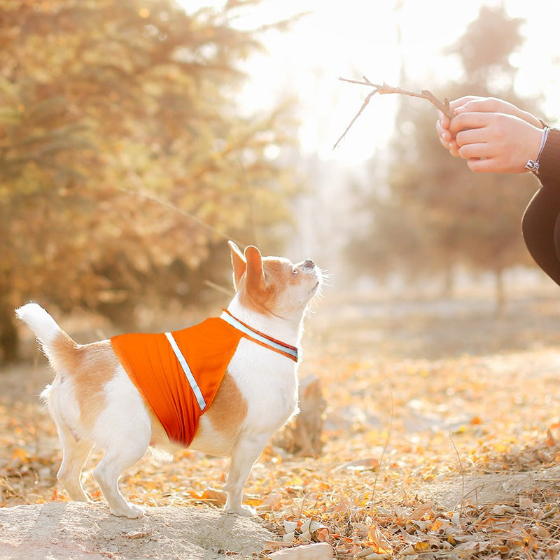 [Australia] - VIZPET Reflective Dog Vest with Lightweight Adjustable Strap & Comfortable Material Ideal to Keep Dogs Safe While Walking & Hunting Large orange 