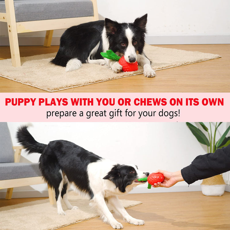 Indestructible Dog Chew Squeaky Toy for Aggressive Chewers, Als Ellan Tough Natural Rubber Toys with Squeaker & Crinkle paper, Durable dog toys for Small Medium Large Breed Dogs, Teeth Cleaning (Bird) - PawsPlanet Australia