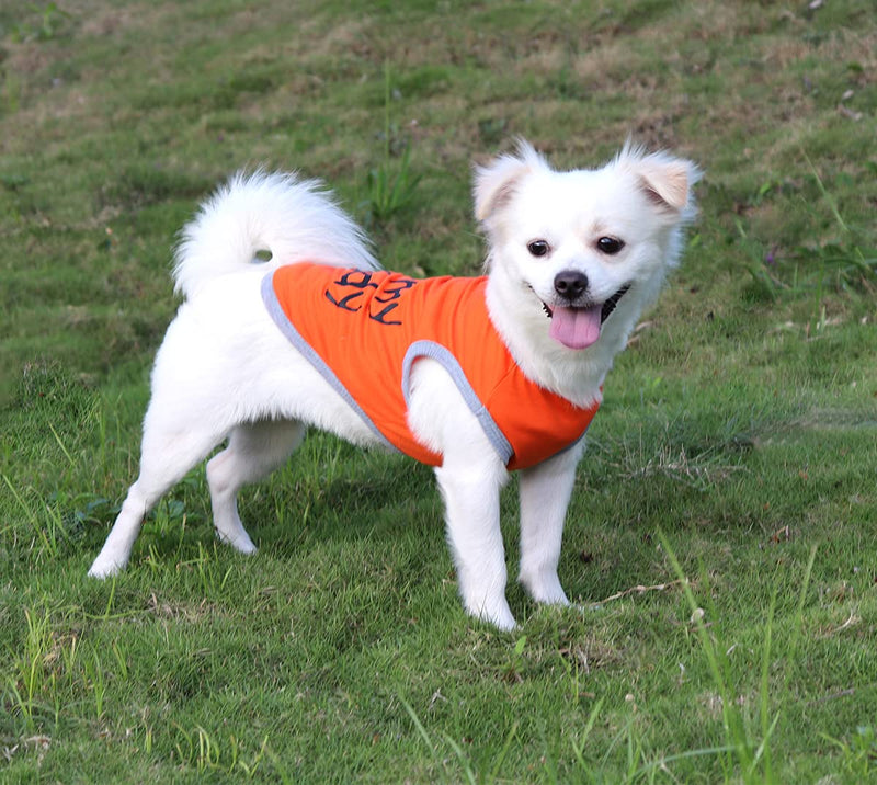 QiCheng&LYS Dog shirt, Minimalist dog T-shirt cute little T-shirt sports T-shirt soft and comfortable (XXL, 2pcs Blue/Orange) XXL - PawsPlanet Australia
