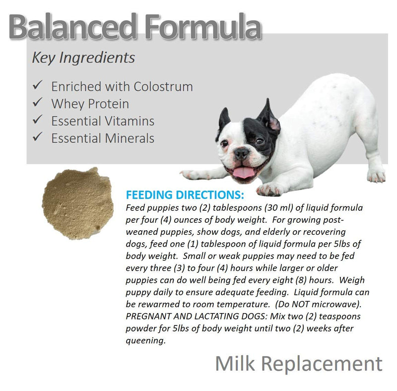 Vet Worthy Milk Replacement for Dogs and Cats Dog - PawsPlanet Australia