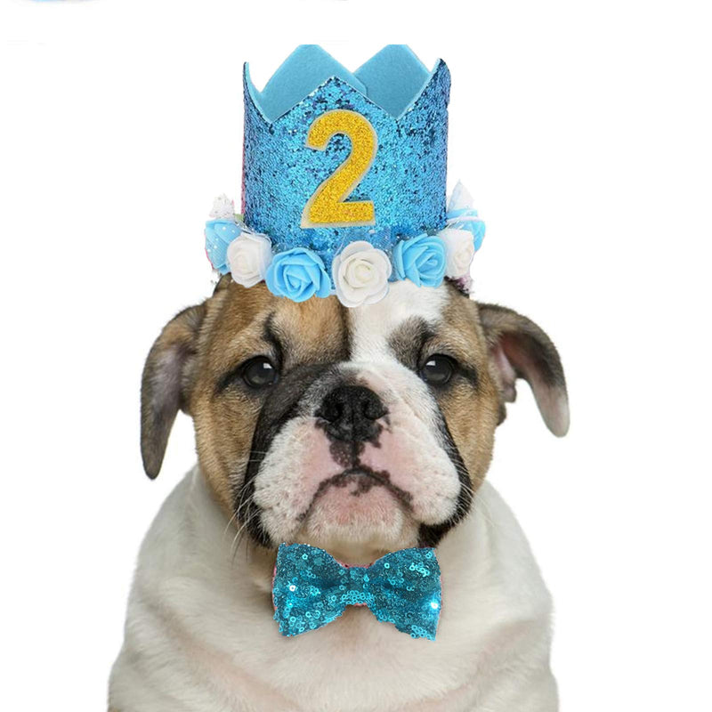 Elionless Pet Birthday Hat, Dog Birthday Crown Hat and Bowtie with 0-9 Figures Charms Party Accessories for Small Medium Dogs Cats (BLUE) BLUE - PawsPlanet Australia