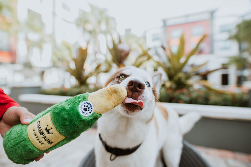 [Australia] - ZippyPaws - Happy Hour Crusherz Drink Themed Crunchy Water Bottle Dog Toy Champagne 