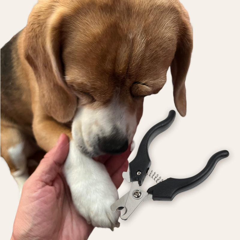 MIJOMA claw scissors, claw cutter, claw pliers for dogs and cats, claw care, claw care for at home, easy and safe with spacer and safety lock - PawsPlanet Australia