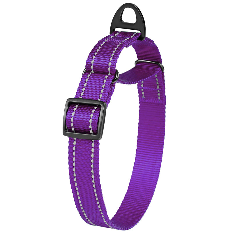 [Australia] - CollarDirect Reflective Martingale Dog Collar Nylon Heavy Duty Training Pet Collars for Small Medium Large Dogs Puppy Pink Orange Black Blue M, Neck Size 13"-18" Purple 