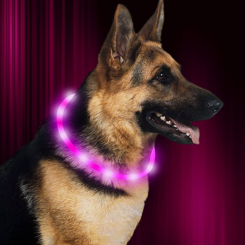 [Australia] - HiGuard LED Dog Collar, USB Rechargeable Glowing Pet Safety Collars, Adjustable Water-Resistant Flashing Light Up Necklace Collar Make Your Dogs High Visible & Safe in the Dark (1 Pack-Pink) 