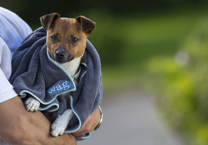 Henry Wag Microfibre Pet Towel - 2 Sizes Small - PawsPlanet Australia