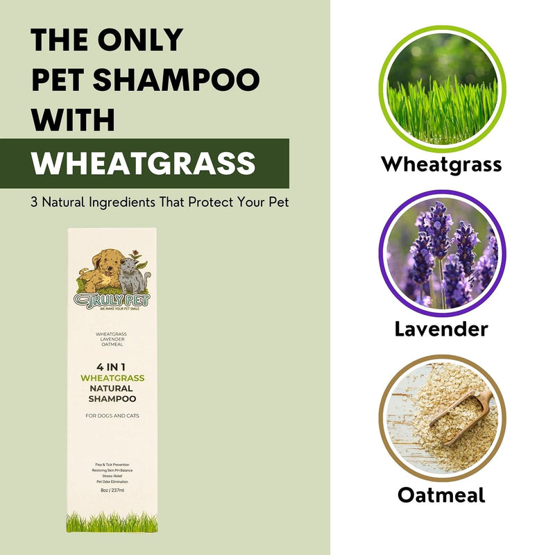Truly Pet - Wheatgrass Shampoo for All Dogs and Cats - Soothe Wheatgrass and Oatmeal Shampoo for Dry Itchy Skin, Calm Hypoallergenic Shampoo for Sensitive Skin, Deodorizing and Coat Protecting Shampoo - PawsPlanet Australia