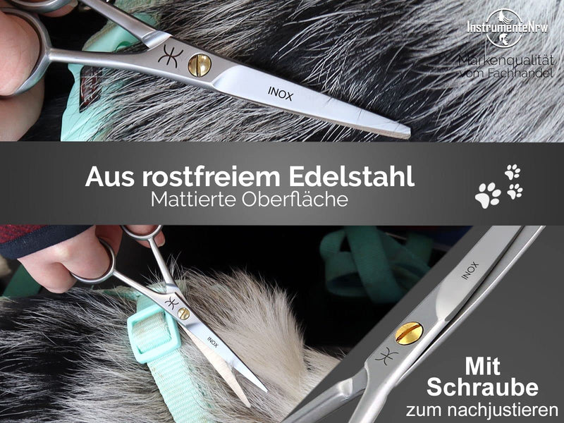 Grooming scissors, paw scissors, dog hair scissors, rounded 12 cm hair scissors with curved cutting surface for optimal grooming for dogs, cats and other pets - stainless steel - PawsPlanet Australia