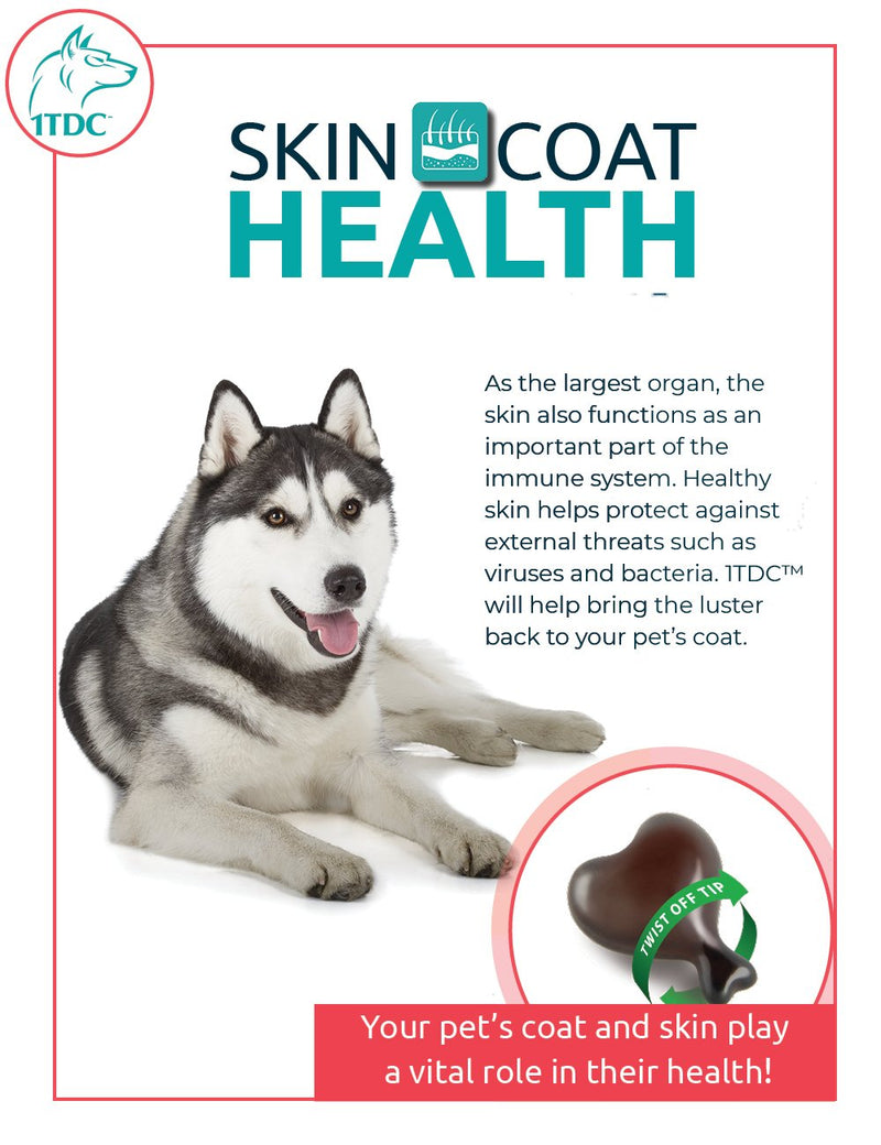 1TDC Dual Action Natural Support – Twist Off Soft Gels – Delivers 4 Major Health Benefits for Dogs & Cats – Supports Oral Health, Hip & Joint Health, Muscle & Stamina Recovery, Skin & Coat Health 30 - PawsPlanet Australia