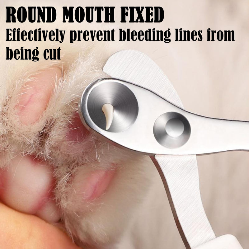 TYXHXTF 2PCS Cat Neck Brace, Adjustable Neck Brace Cat Collar, Anti Bite Safety Protective Collar, After Surgery Pet Protective Collar, for Dogs Puppies Kittens - PawsPlanet Australia