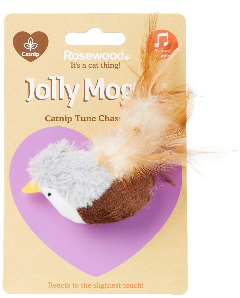 Rosewood CATNIP TUNE CHASER BIRD - PawsPlanet Australia