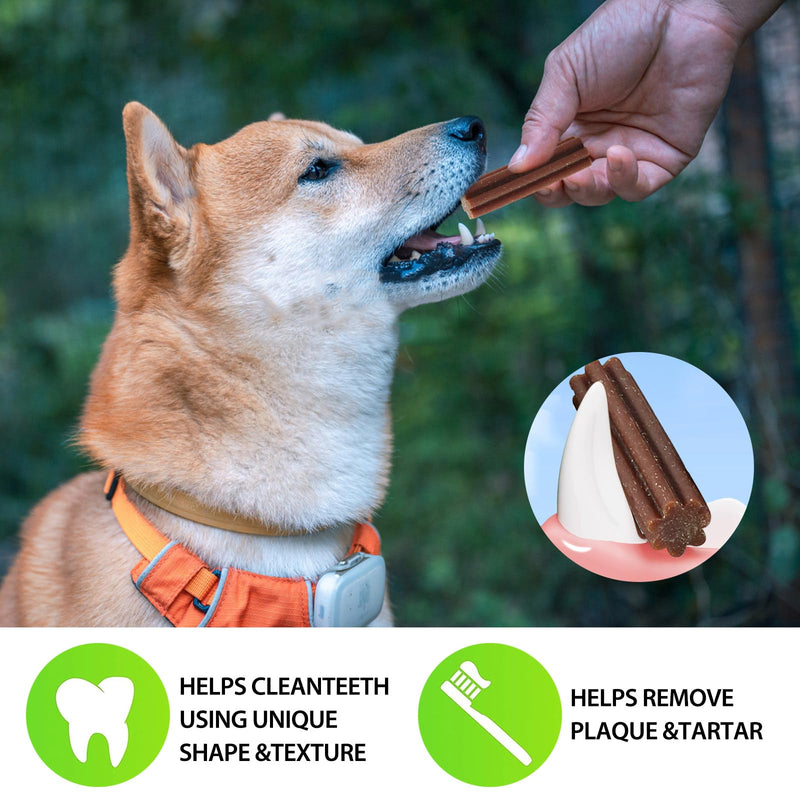 Long-Lasting Dog Toy, dog toothpicks, teethers, long-lasting chewing snacks for small dogs and puppies filler - PawsPlanet Australia