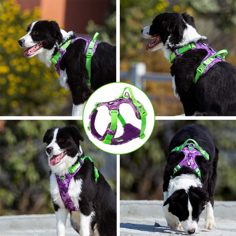 Dog Harness No Pull Walking Pet Harness Reflective Front clip Dog Vest Adjustable No-Choke Pet Oxford Vest Outdoor Dog Training Chest Strap For Small to Large dogs XS (33-43CM/13-17in) Purple Green - PawsPlanet Australia