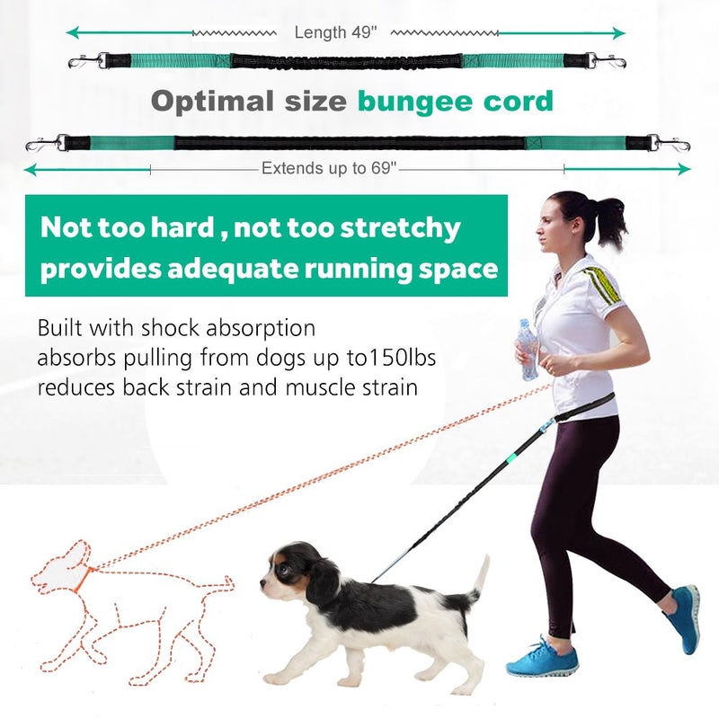 [Australia] - LANNEY Hands Free Dog Leash for Running Walking Training Hiking, Dual-Handle Reflective Bungee, Poop Bag Dispenser Pouch, Adjustable Waist Belt, Shock Absorbing, Ideal for Medium to Large Dogs Black / Teal 