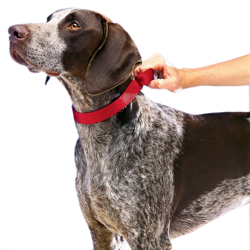 [Australia] - PetSafe Martingale Dog Collar, Alternative to Choke Collar RED MEDIUM (NYLON WIDTH 1") 