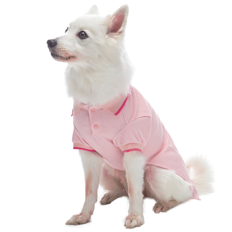 [Australia] - Blueberry Pet 7 Colors Pack of 2 Back to Basic Cotton Blend Dog Polo Shirts with Personalized Option Non-customized - Back Length 16" Pack of 2 - Amaranth Red + Pink 