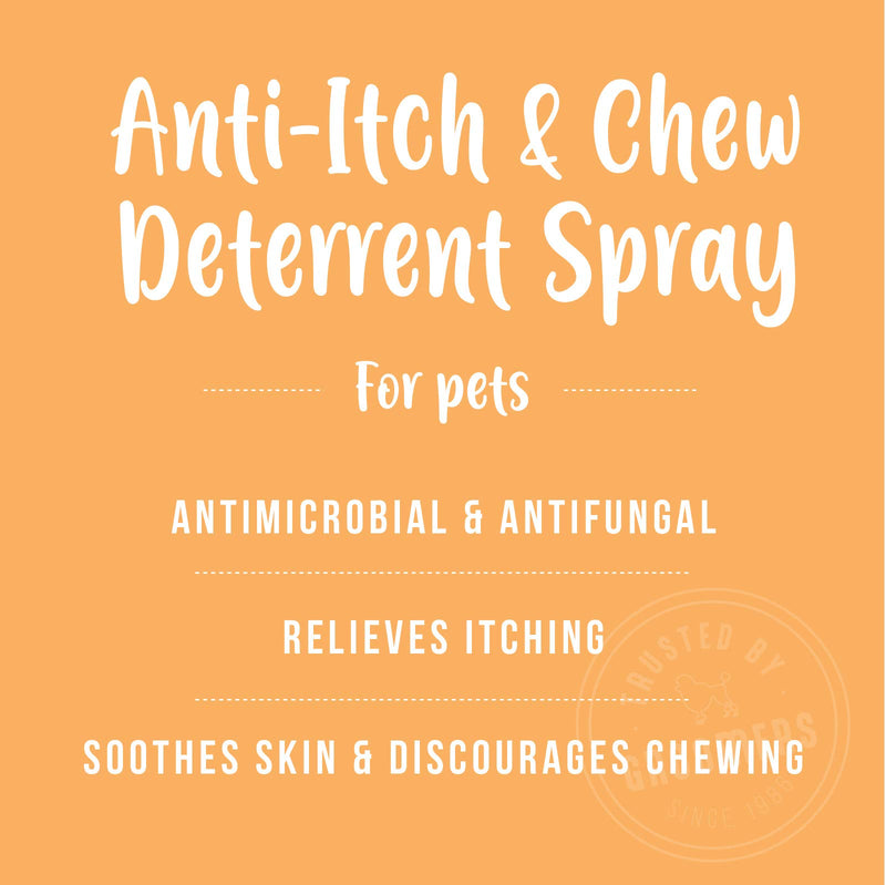 Nature's Specialties Anti-Itch Medicated Dog Spray for Pets, Ready to Use, Made in USA, Citrus, 8oz - PawsPlanet Australia