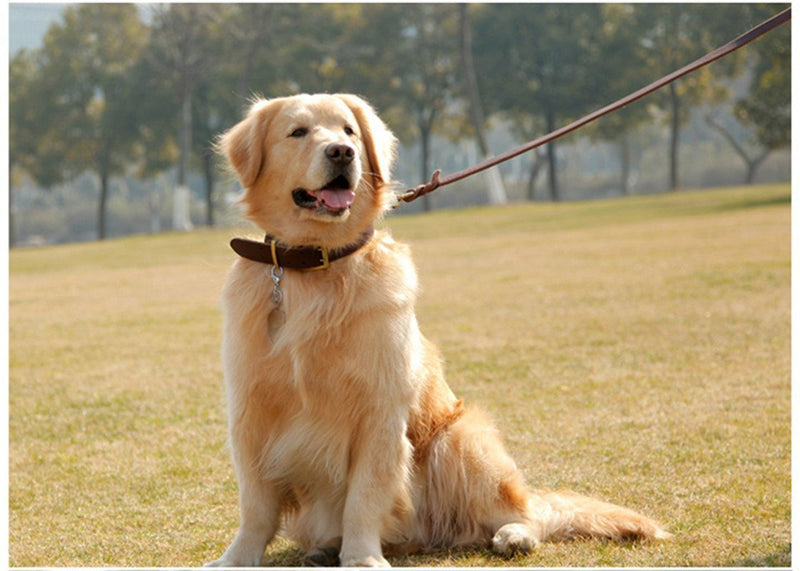 [Australia] - Fairwin Leather Dog Leash 6 Foot - Braided Heavy Duty Training Leash for Large Medium Small Dogs Running and Walking M:Width:5/8" Brown 