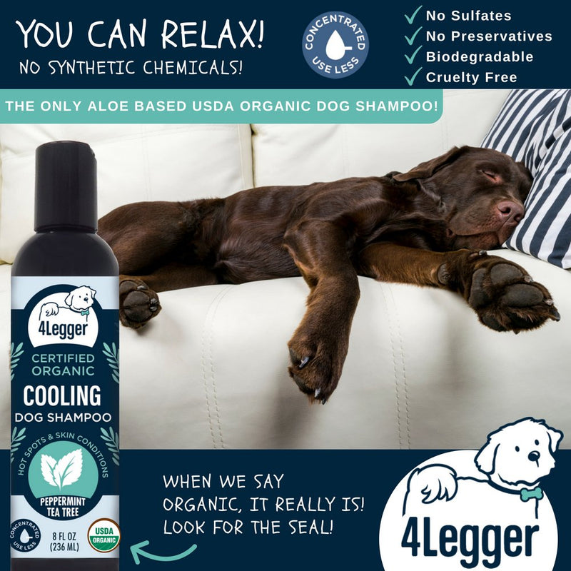 [Australia] - 4Legger All Natural Tea Tree USDA Certified Organic Dog Shampoo with Peppermint - A Natural Holistic Alternative to Medicated Dog Shampoo for Antifungal Antibacterial Itchy Skin Concentrated USA 8 oz 