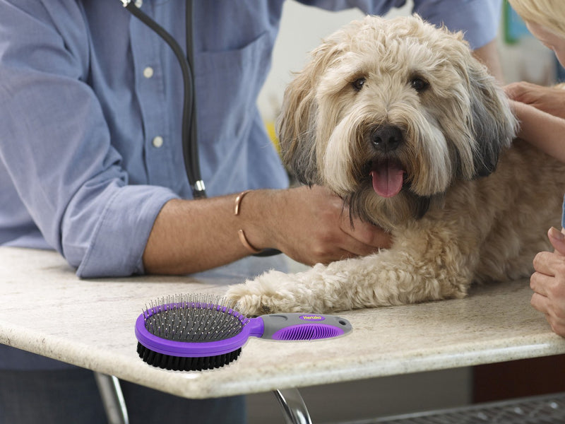 [Australia] - Double Sided Pins and Bristle Brush by Hertzko - For Dogs and Cats with Long or Short Hair - Dense Bristles Remove Loose Hair from Top Coat and Pin Comb Removes Tangles, and Dead Undercoat 