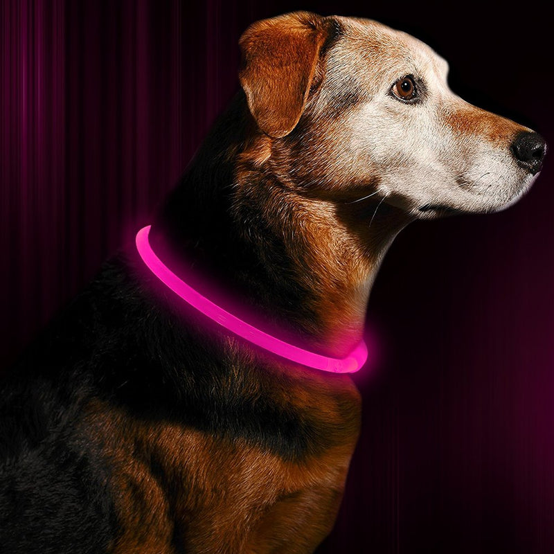 [Australia] - BSEEN LED Dog Collar, USB Rechargeable, Glowing pet Dog Collar for Night Safety, Fashion Light up Collar for Small Medium Large Dogs Candy Pink 