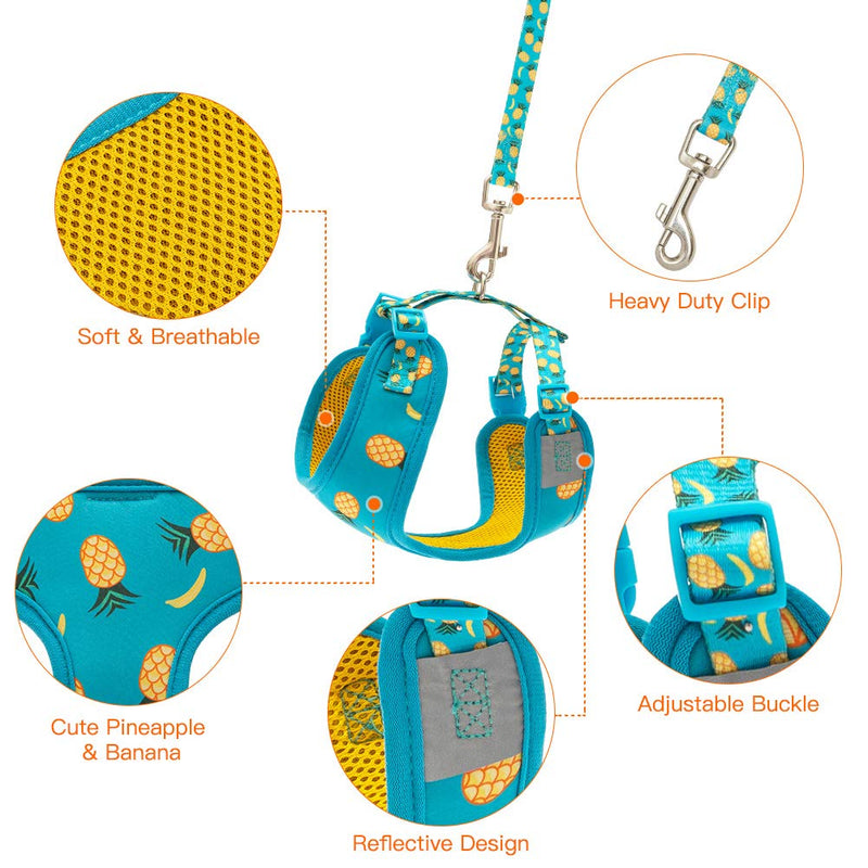 PUPTECK Dog Harness and Leash Set - Adjustable Cute Dog Bowtie Collar, Breathable Pineapple Comfort Padded Puppy Vest Harnesses for Small Medium Dogs Walking Blue - PawsPlanet Australia