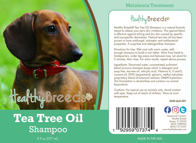[Australia] - Healthy Breeds Dachshund Brown Tea Oil Shampoo Anti Itching Anti fungal Anti Bacterial Relieve Skin Irritations 8oz 