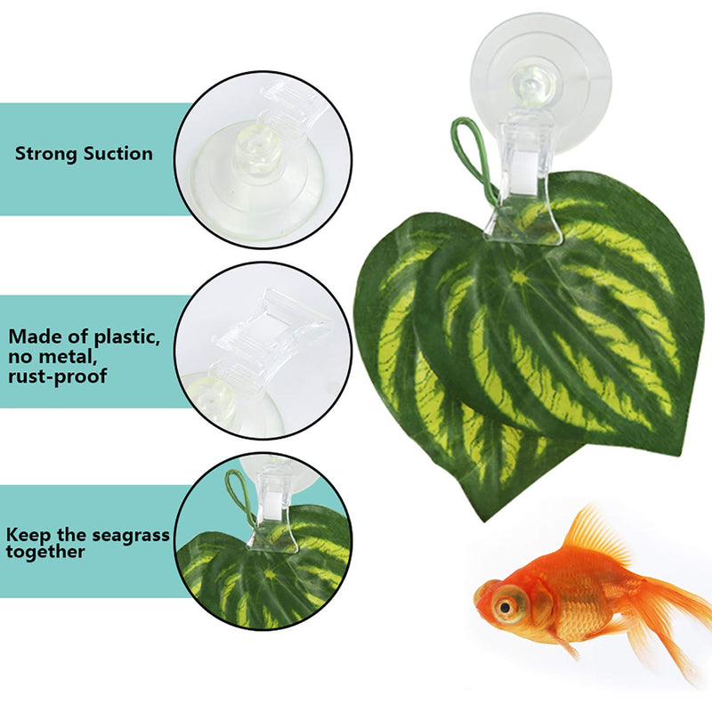 SLSON 4 Pack Fishes Veggie Seaweed Plant Suction Cup Clip Feeding Tool Feed Holder Aquarium Accessories for Fish Tank - PawsPlanet Australia