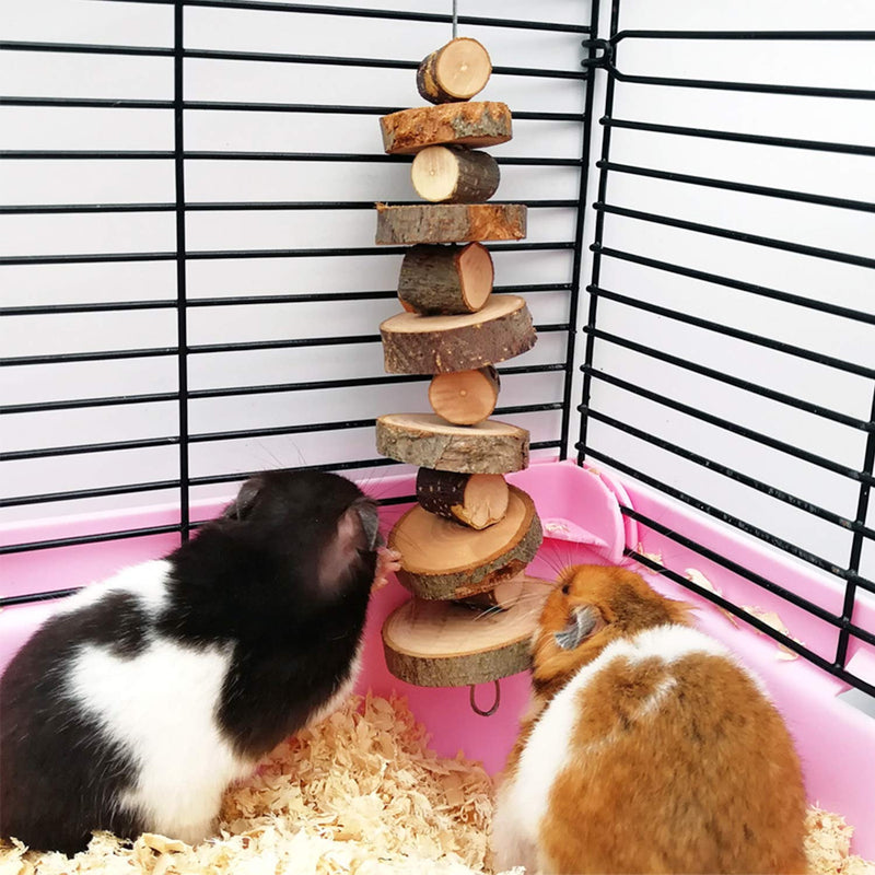 Natural Organic Apple Wood Chew Toys 2 Pack Small Animal Snack Toys Suitable for Rabbit Chinchilla Guinea Pig Hamster Teeth Grinding - PawsPlanet Australia