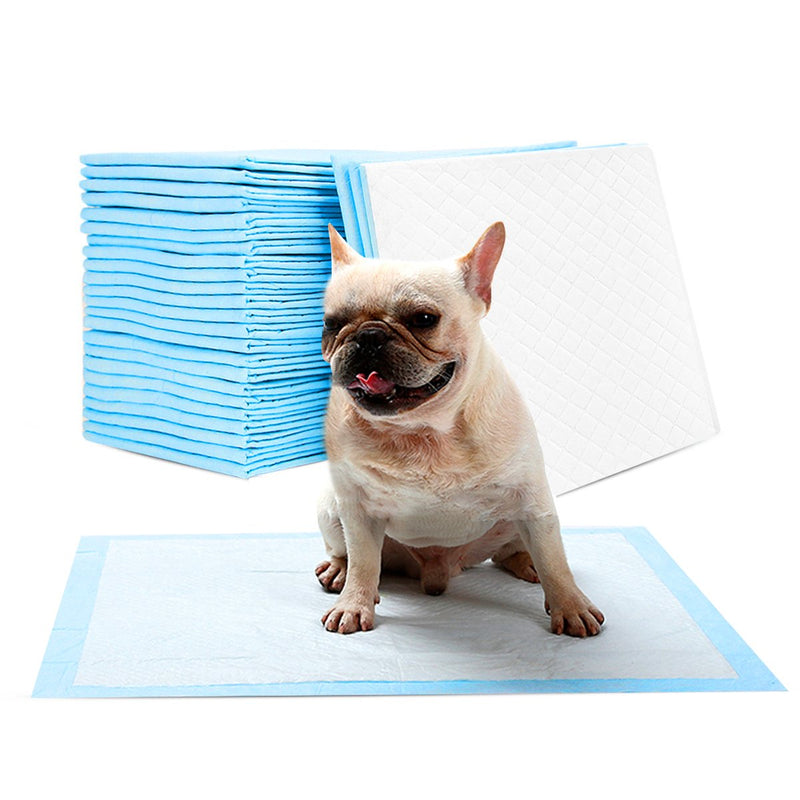 PETCUTE Puppy Pads Dog Training Pads Training Pads for Dogs Puppy House Training Pads Incontinence Dog M(50 packs) Blue - PawsPlanet Australia