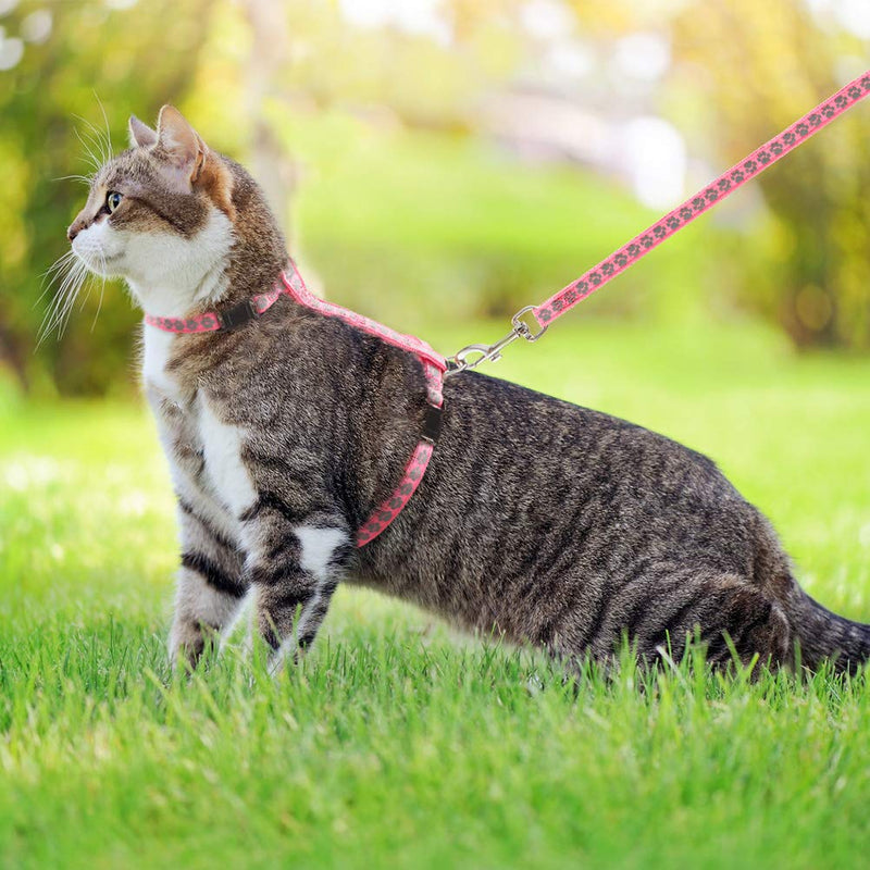 Cat Harness and Lead Set - Escape Proof Kitten Harness Reflective for Outdoor Walking with Safety Buckle, Soft and Adjustable, Glow in the Dark - PawsPlanet Australia