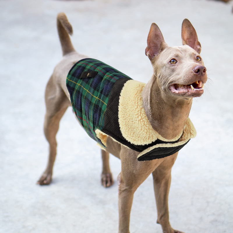 CITÉTOILE Warm fleece dog coat, winter coat, winter jackets for small/large/medium dogs, dog jacket, dog clothes, dog sweater with harness hole, Chihuahua coat for outdoor indoor, L Large green-black checked - PawsPlanet Australia
