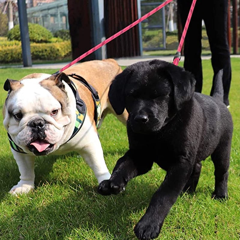 3-in-1 Dog Leash, 3-Way Dog Leash with Padded Handle 360° Rotatable No Tangle Dog Leash for 3 Dogs Pet Dog Lead Chain 1.5m for Medium Small Dogs Multiple Pets - PawsPlanet Australia