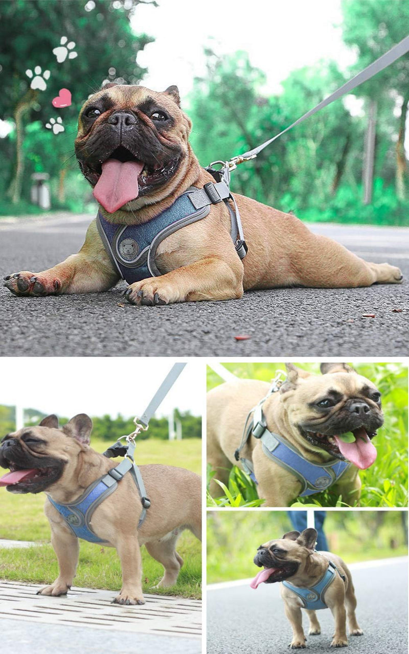 Alcheringa Dog Walking Harness Vest Adjustable Padded Comfortable Breathable Secure Reflective & Lightweight with Lead Included (M) M - PawsPlanet Australia