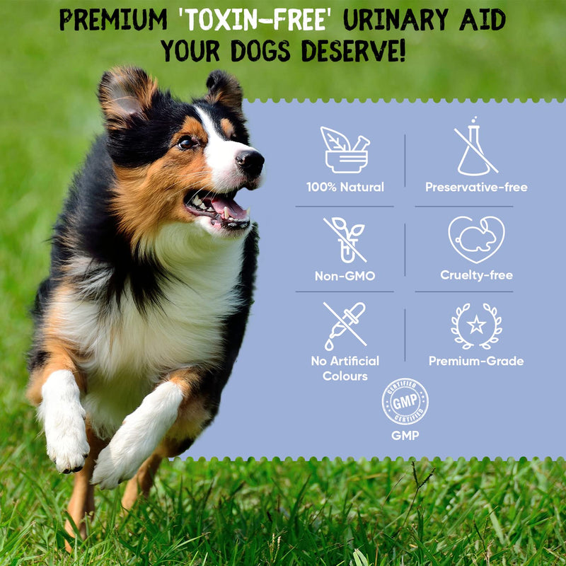 Animigo Natural Urinary Aid For Dogs - Delicious Beef Flavour - 120 Dog Urinary Tablets - Immunity & Bladder Support For Dogs - Dog Supplements With Cranberry Powder, D Mannose & Astragalus Root - PawsPlanet Australia