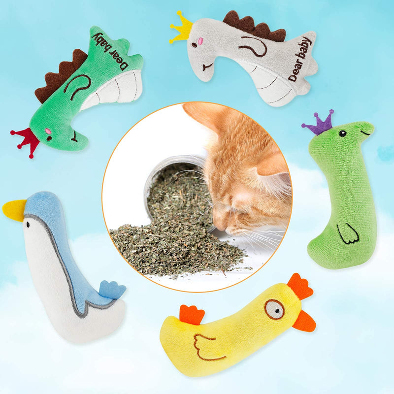 Dorakitten Cat Catnip Toys 5pcs Cat Toys Interactive Kitten Supplies Cat Toys for Indoor cats Kitten Toys Plush Cat Pillow - Cleaning Teeth Creative Wear-Resistant Scratching Chew Toys - PawsPlanet Australia