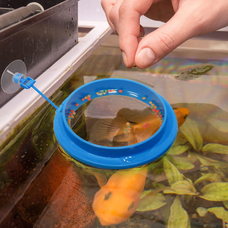 Fischuel Aquarium Feeding Ring Floating Rings Food Feeder Feeding Trough with Suction Cup for Fish Feeder，Round Shape Round Shape-Blue - PawsPlanet Australia