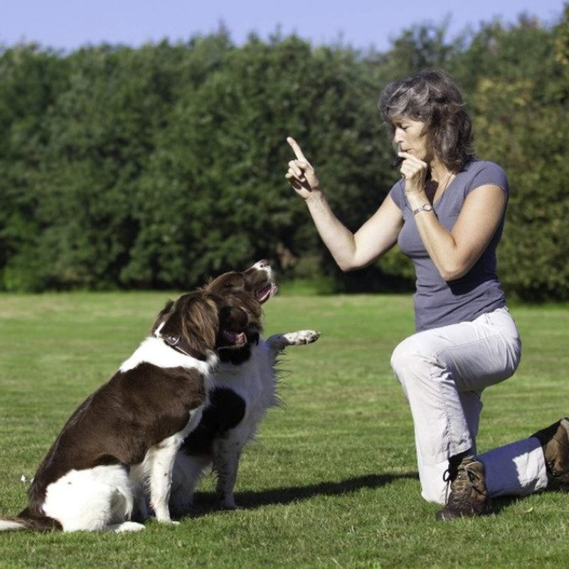 DESON Dog Training Whistles With Lanyard Ultrasonic Whistle High Frequency Adjustable for Stop Barking Recall - Black - Stainless Steel - Loud and Far-reaching - PawsPlanet Australia