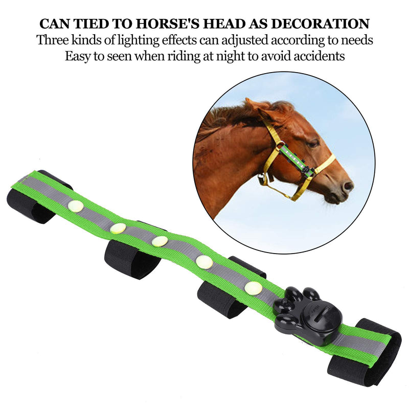 Zerodis Equestrian Horse Headband LED Decoration Green Sports Pet Horse Riding Exercise Supplies for Running Hiking Outdoor Sports - PawsPlanet Australia