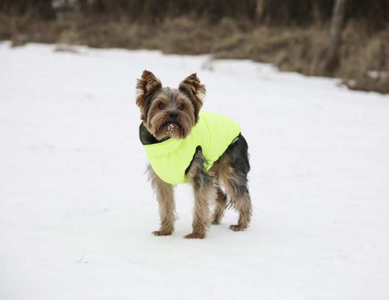 Maxi-Pet Charmonix 80660 Quilted Coat Medium 40 cm Grey/Neon/Yellow - PawsPlanet Australia