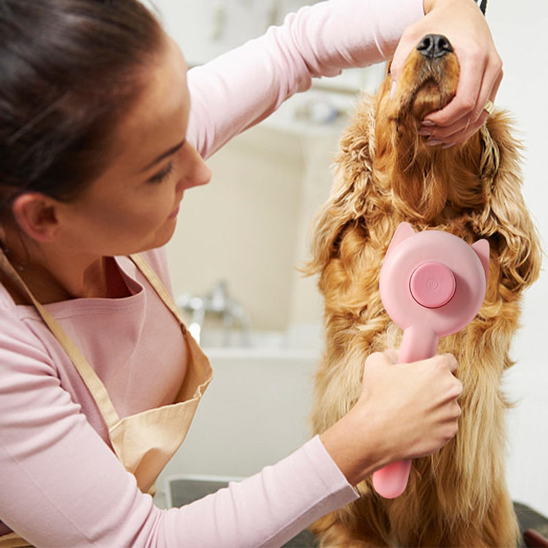1 Pet Comb with 1 Comb for Fleas, Grooming for Pets with Fine Teeth, Pet Epilator, Massage Brush (Pink) - PawsPlanet Australia
